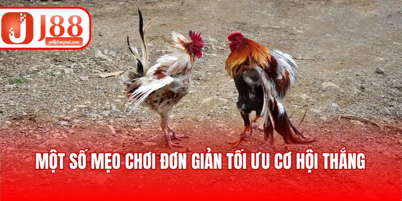 Một số mẹo chơi đơn giản tối ưu cơ hội thắng