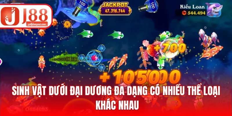 Sinh vật dưới đại dương đa dạng có nhiều thể loại khác nhau